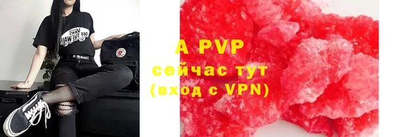 эйфоретик Инсар