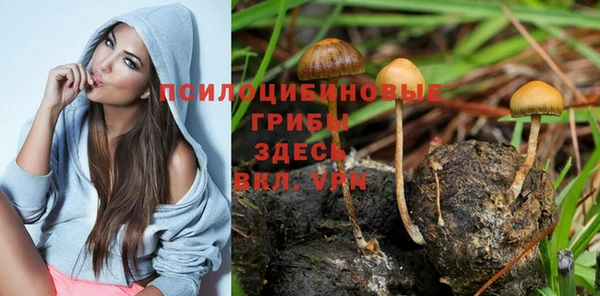 мдма Инта