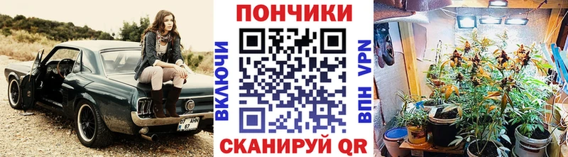 Купить  Могоча  Каннабис SATIVA & INDICA 